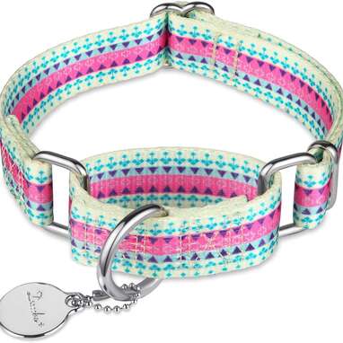 Dazzber Martingale Collar