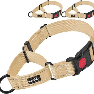 Haapaw 2-Pack Martingale Collar