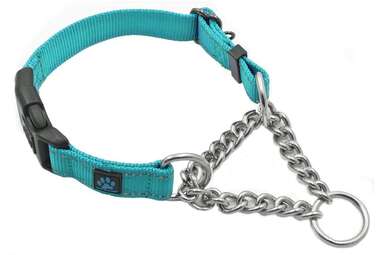 Max and Neo Stainless Steel Chain Martingale Collar