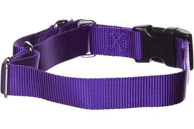 PetSafe Martingale Dog Collar