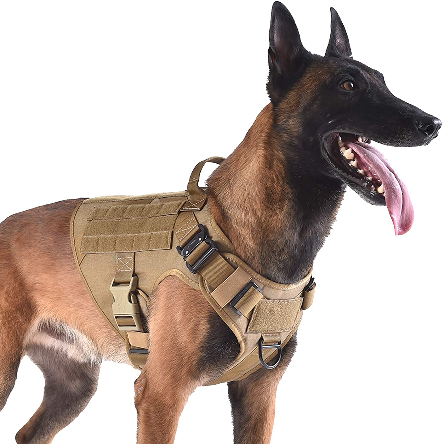 Giant breed cheap harness