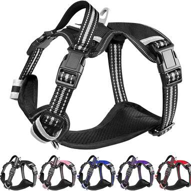 Winsee Dog Harness