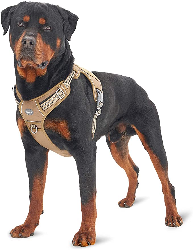 Best harness for large dogs hotsell