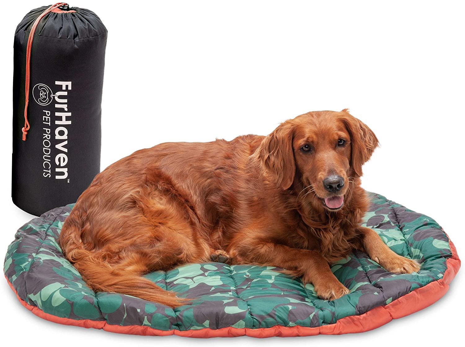 The 7 best outdoor dog beds this year