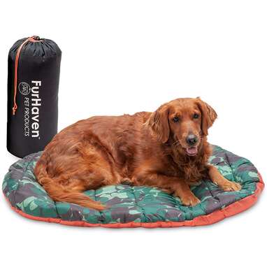 what is the best outdoor dog bedding