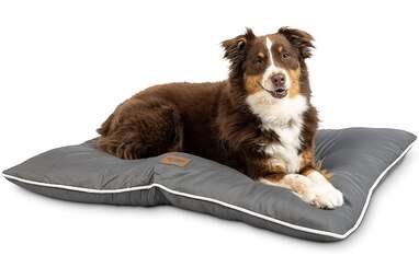 Best overall outdoor dog bed: Pet Craft Supply Super Snoozer