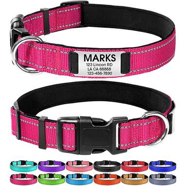 Reflective Dog Collars  Metal Buckle Dog Collars – GoTags