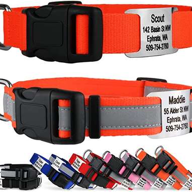 Good2Go Bright Orange Reflective Dog Collars, Medium