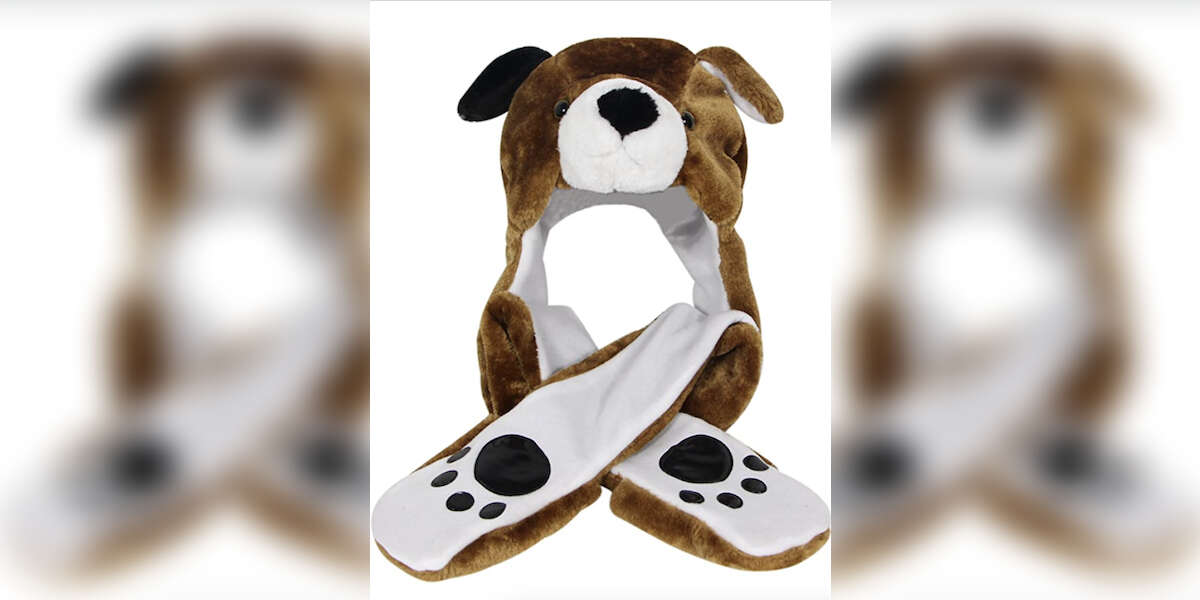 9 Dog Hats For Adults And Kids DodoWell The Dodo