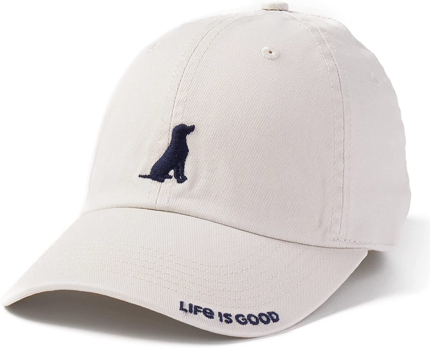 Dog baseball store hats for humans