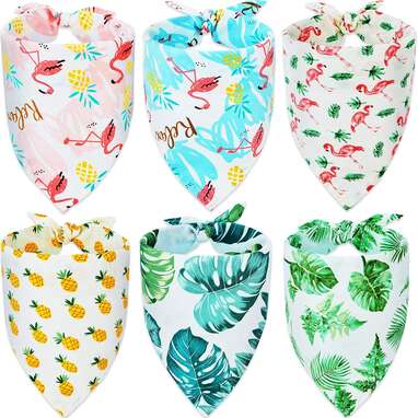 For the summer lover: Frienda 6-Pack Summer Dog Bandanas