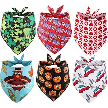 12 Dog Bandanas For Every Season And Occasion DodoWell The Dodo