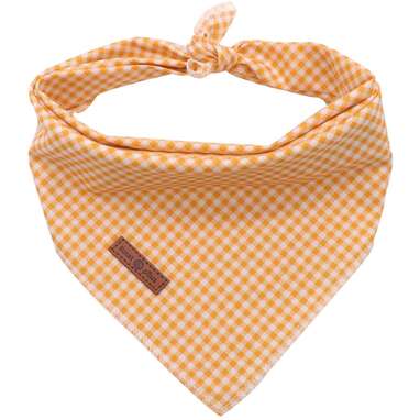 Lionet Paws Dog Bandana