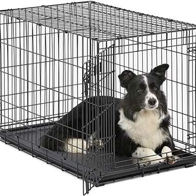 MidWest ICrate Folding Metal Dog Crate w/ Divider Panel