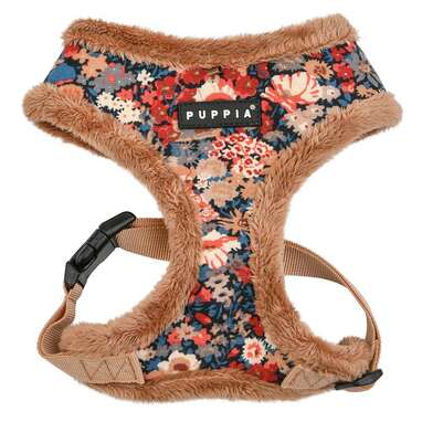 Beautiful 2024 dog harness