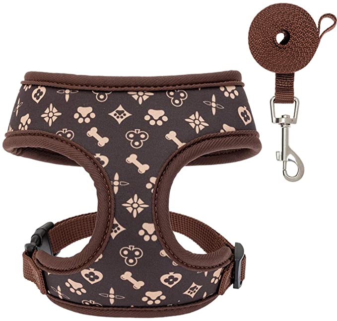 Cutest dog hot sale leashes