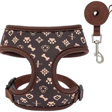 15 Cute Dog Harnesses That Are Actually Stylish - DodoWell - The Dodo