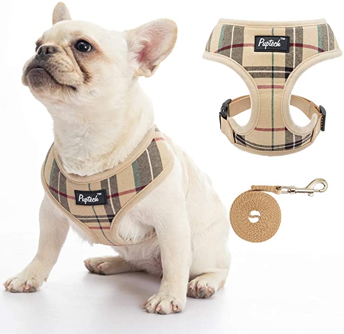 Unique dog best sale harness designs