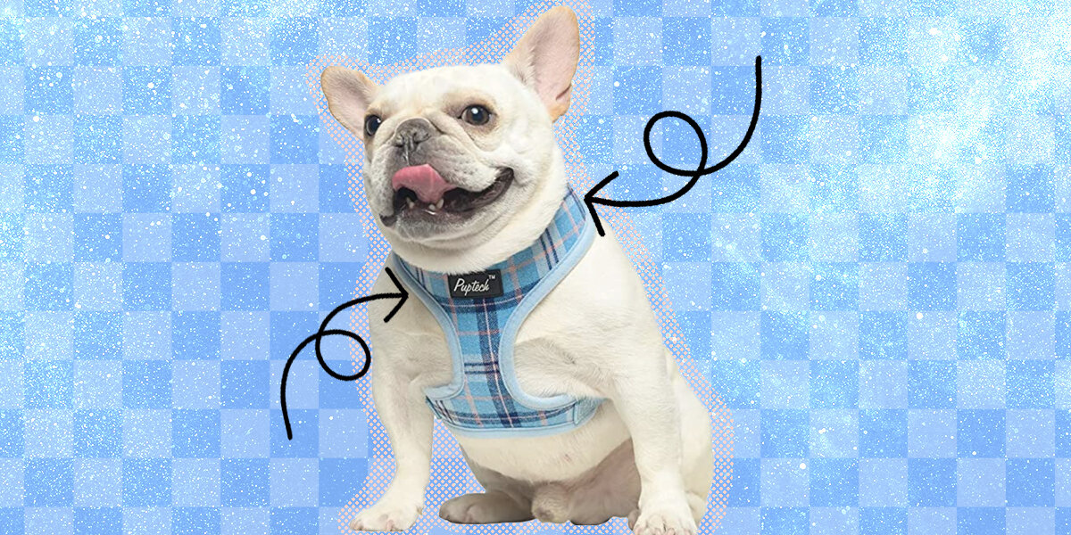 Reversible Signature Print Dog Harness