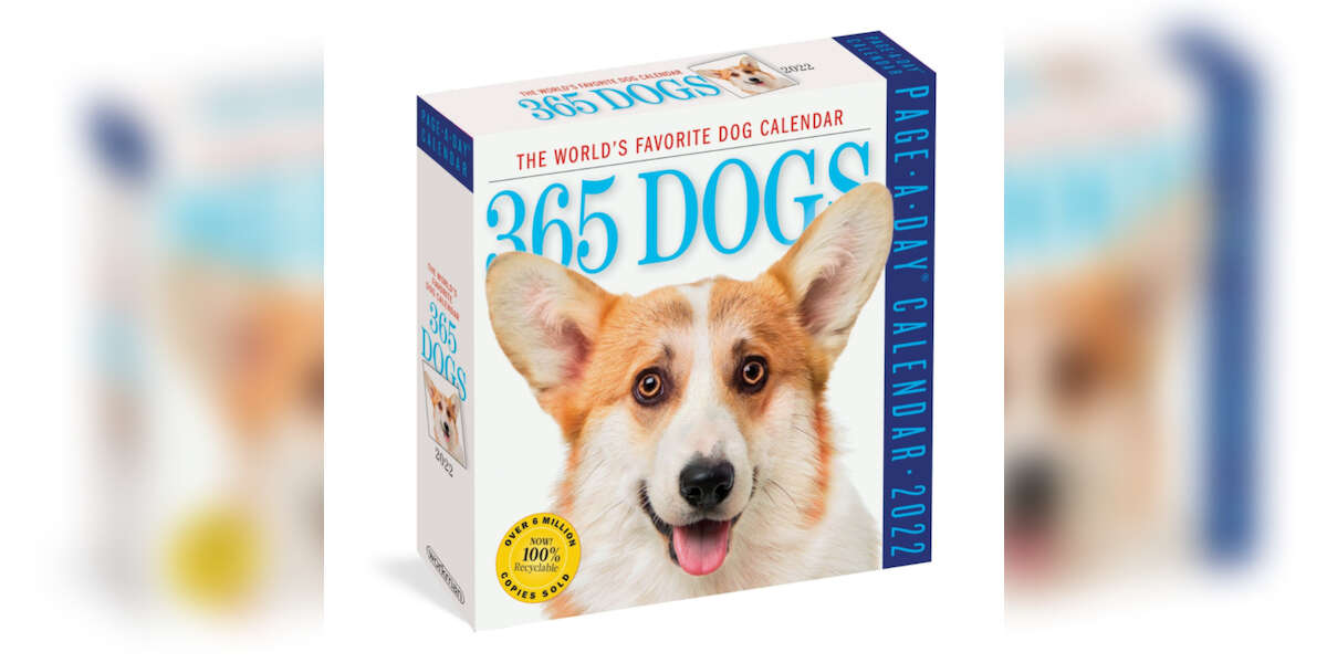 7 Dog-Themed Calendars To Keep You Organized In 2022 - Dodowell - The Dodo