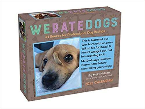 Dog Calendar Contest 2022 7 Dog-Themed Calendars To Keep You Organized In 2022 - Dodowell - The Dodo