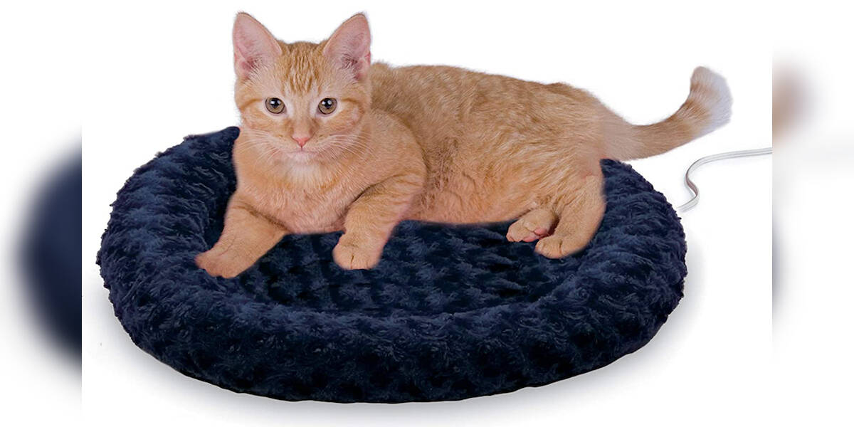 Large heated best sale cat bed