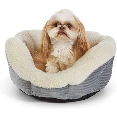 Amazon Basics Warming Pet Bed