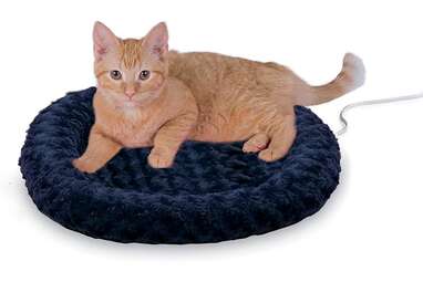 Best heated hotsell cat beds