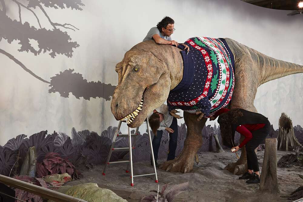 Tiranossauro Rex ganha suéter para celebrar o Natal no Museu de História  Natural de Londres; veja FOTO, Mundo