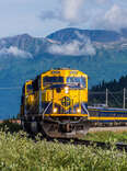 a train running through the mountains