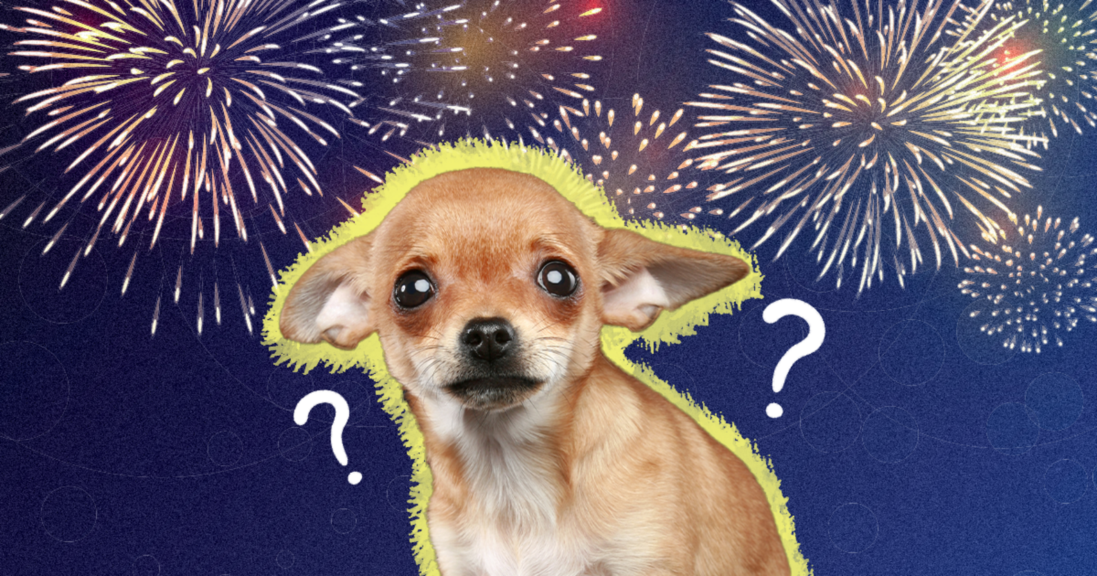 Dogs And Fireworks 10 Tips To Keep Your Pup Calm DodoWell The Dodo
