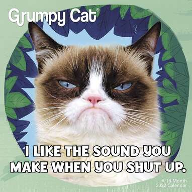 Mead “Grumpy Cat Mini Wall Calendar"