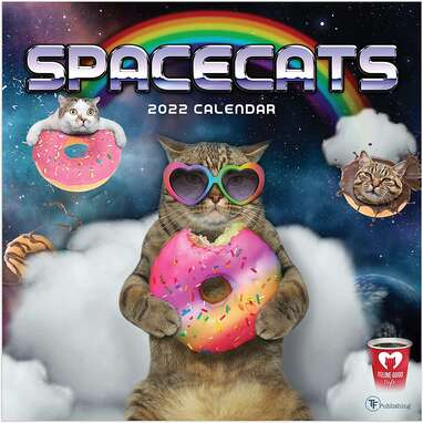 TF Publishing “Spacecats 2022 Calendar"