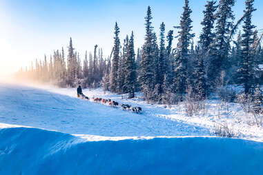 Epic Alaska Adventures To Embark On This Winter - Thrillist 3 dog sledding