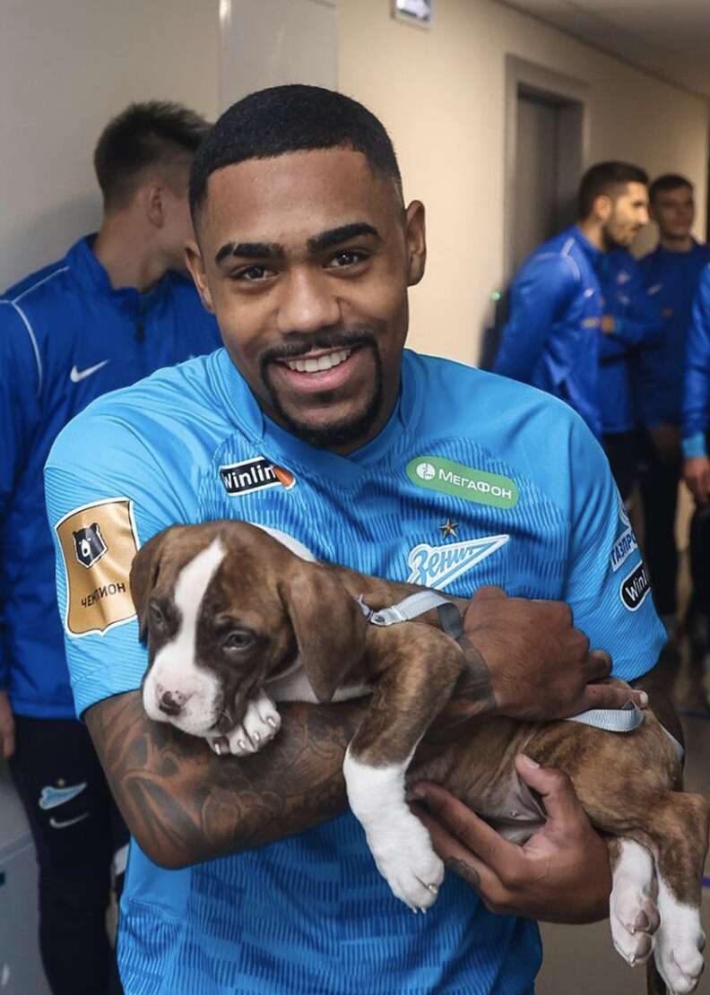 soccer players hold puppies