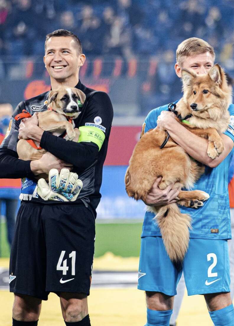 soccer players carry puppies