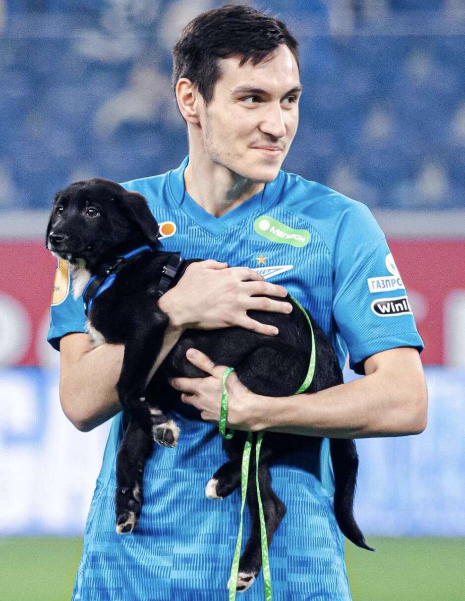 soccer players carry shelter dogs