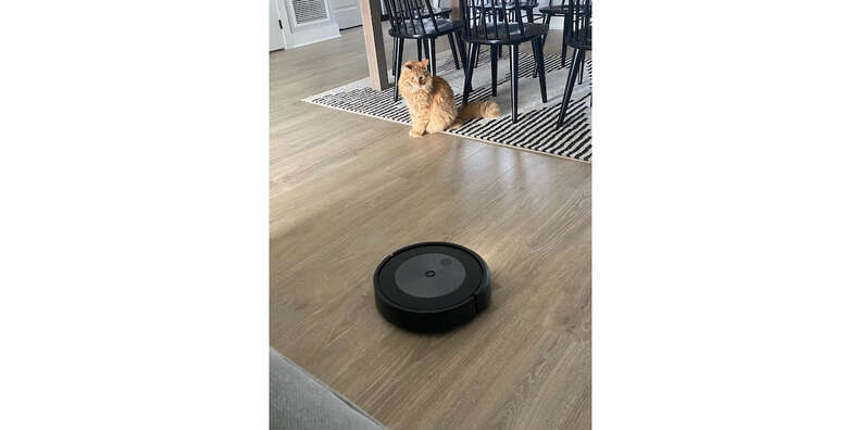 Roomba j7+ Review: Does It Work? - Paw of Approval - The Dodo