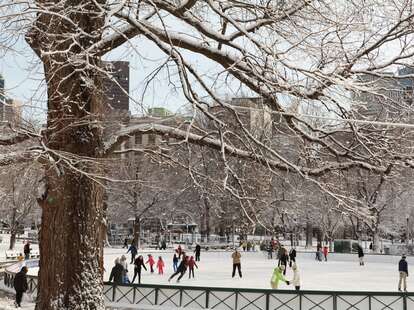 The Boston Common Frog Pond