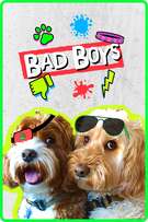 Bad Boys cover art