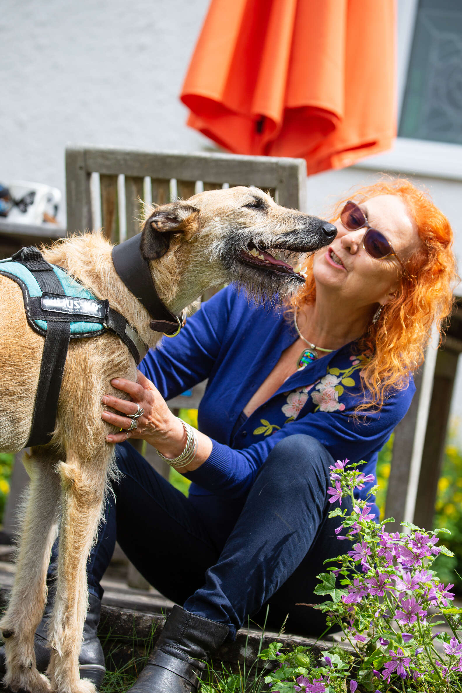 dog-abandoned-with-broken-leg-is-now-the-happiest-dog-the-dodo