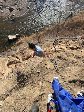 dog stuck on cliff