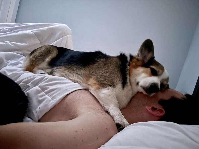 dog snuggling with dad