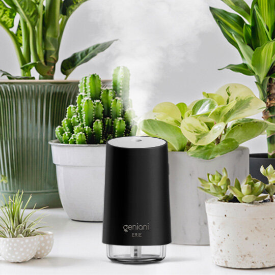 Best Humidifiers on Amazon: Popular & Affordable Humidifiers - Thrillist
