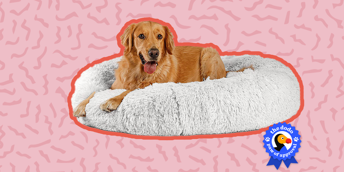 Best Friends By Sheri Calming Donut Bed Reviews Does It Calm Our Pets
