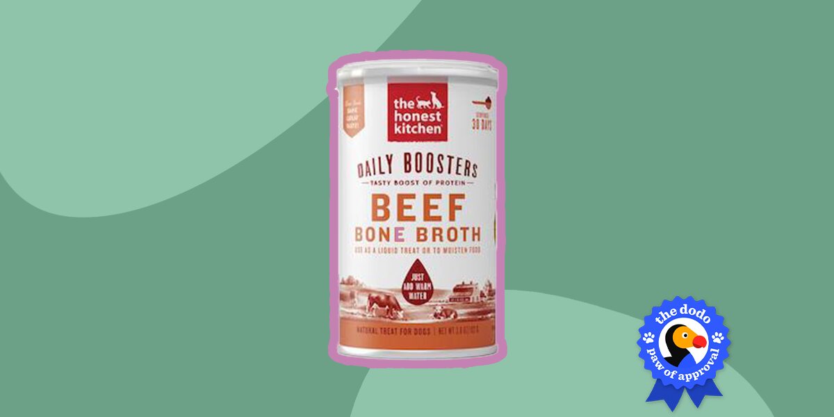The Honest Kitchen Bone Broth Reviews Is It Good Paw of