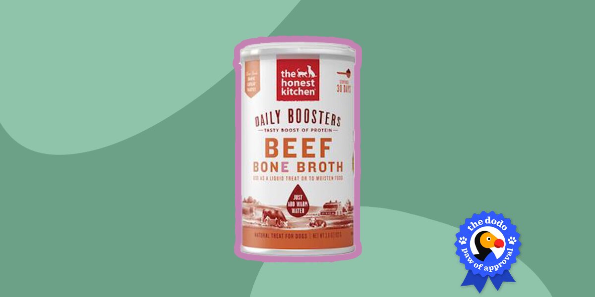 Honest kitchen bone broth for clearance dogs