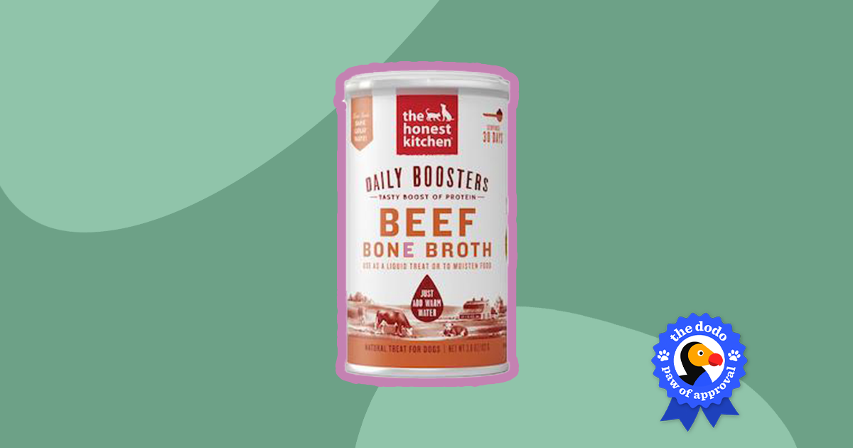 Honest kitchen outlet broth