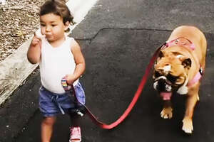 Little Girl Grows Up With Dog BFF — And Introduces Him To Her New Brother