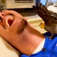 Woman's Boyfriend Tries To Win Over Her Possessive Bird